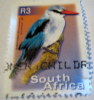 South Africa 200 Woodland Kingfisher R3 - Used - Other & Unclassified