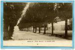 79  -  MELLE  -  Place  Bujault - La  Grande  Allée - BELLE  CARTE  - - Melle