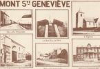 Mont Sainte Genevieve  ( Carte Adeps ) - Lobbes