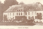 Chateau De Pailhe  Havelange  ( Carte Adeps ) - Havelange