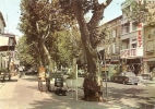 Vaucluse - Cavaillon , Cours Gambetta En 1964 - Cavaillon