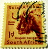 South Africa 1954 Gnu Animal 1d - Used - Other & Unclassified