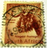 South Africa 1954 Gnu Animal 1d - Used - Other & Unclassified