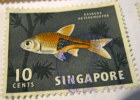 Singapore - 1962 Harlequin Fish 10c - Used - Singapore (...-1959)