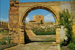 ALMERIA - Alcazaba, Arco Romano / La Forteresse, Arc Romain / The Fortress, Romain Arc - Format : 15,5 X 11 - 2 Scans - Almería