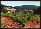 CPM Neuve 83 LA VALETTE DU VAR  Domaine Des Gueules Cassées  Vue Générale Et Son Vignoble - La Valette Du Var