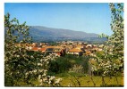 FUNDÃO - Vista Geral Na Primavera - Castelo Branco