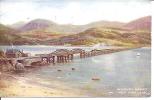 BARMOUTH VIADUCT AND CADER IDRIS. A 293. - Merionethshire