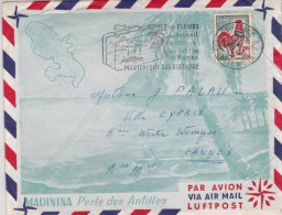 MARTINIQUE - 1965 - COQ DE DECARIS Sur ENVELOPPE DECOREE PAR AVION De FORT DE FRANCE - Covers & Documents