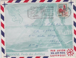 MARTINIQUE - 1965 - COQ DE DECARIS Sur ENVELOPPE DECOREE PAR AVION De FORT DE FRANCE - Cartas & Documentos