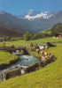 BEI ADELBODEN   KÜHE  VACHES - Adelboden