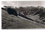 Lenk  I S Panorama - Lenk Im Simmental