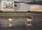 4681 - Zambie 1987 - Carte Maximum - Zambia (1965-...)