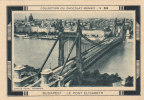 CHROMO  Image Chocolat MENIER  BUDAPEST  Le Pont Elisabeth   N° 311 - Menier