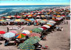 Viareggio- - Viareggio