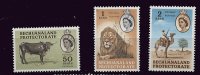 0280 - Bechunaland  ** - N° 130 à 132 - Lions , Etc.. - 1965-1966 Interne Autonomie