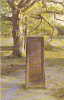 18554 Rufus Stone, New Forest - PT2726 - Andere & Zonder Classificatie