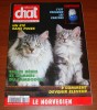 Atout Chat 112 Juin 1994 Chats Bénis Et Damnés Du Cambodge Comment Devenir Éleveur - Tierwelt