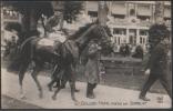 France - Golden Hope Monte Par Semblat - Horse Show