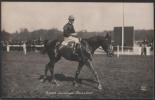 France - Ksar Monte Par Bullock - Hippisme