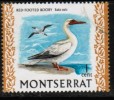 MONTSERRAT   Scott #  231  VF USED - Montserrat