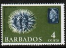 BARBADOS   Scott #  270**  VF MINT NH - Barbades (...-1966)