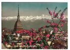 TORINO - Mole Antonelliana Con Lo Sfondo Delle Alpi. Viaggiata 1964 - Mole Antonelliana