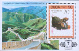 G)1995 CARIBE, THE GREAT WALL OF CHINA-PIG CRAFT, 1ST INTERNATIONAL STAMP EXPO BEIJING'95, S/S, MNH - Nuevos