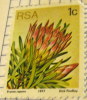 RSA 1977 Cactus Protea Repens 1c - Mint - Other & Unclassified