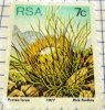 RSA 1977 Protea Lorea 7c - Mint - Other & Unclassified