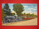 ´Michigan > Detroit  Minature Railroad In Zoological Zoo  Linen   ---=====  === Ref--286 - Detroit