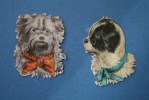 CHROMO ET IMAGE DECOUPIS  -  2 CHIENS  2 GENTILS TOUTOUS     >>     SUPERBE !! - Animales