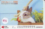 Télécarte Japon * LAPIN (816) RABBIT  * PHONECARD JAPAN * KANINCHEN * KONIJN * CONEJO * - Konijnen