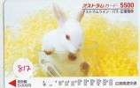 Télécarte Japon * LAPIN (817) RABBIT  * PHONECARD JAPAN * KANINCHEN * KONIJN * CONEJO * - Lapins