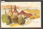 CERLIER - ERLACH - SCHLOSS - PUBLICITE CHOCOLATS PETER & KOHLER - TB - Cerlier