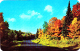 Splasing Colors Autumn Copyright 1951 - The L.L. Cook Co., Milwaukee, Wisconsin - Autres & Non Classés