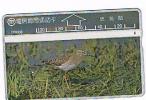 TAIWAN - CHUNGHWA TELECOM (L&G) - 1995  D5008 UCCELLI (BIRDS)  (CODE 521L)  - USED ° - RIF. 4672 - Sperlingsvögel & Singvögel