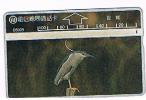 TAIWAN - CHUNGHWA TELECOM (L&G) - 1995  D5009 UCCELLI (BIRDS: NIGHT EGRET)  (CODE 521K)  - USED °- RIF. 4674 - Zangvogels
