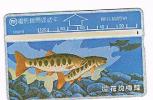 TAIWAN - CHUNGHWA TELECOM (L&G) - 1995  D5019 PESCI (FISHES)  (CODE 544E)  - USED ° - RIF. 4692 - Fische