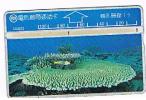 TAIWAN - CHUNGHWA TELECOM (L&G) - 1995  D5025 VITA MARINA (SEA LIFE: CORAL)    (CODE 526D)  - USED ° -  RIF. 4701 - Peces