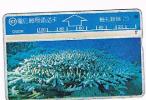 TAIWAN - CHUNGHWA TELECOM (L&G) - 1995  D5026 VITA MARINA (SEA LIFE: CORAL)    (CODE 526M)  - USED °  -  RIF. 4702 - Fische