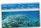 TAIWAN - CHUNGHWA TELECOM (L&G) - 1995  D5026 VITA MARINA (SEA LIFE: CORAL)    (CODE 546A)  - USED °  -  RIF. 4703 - Fische