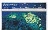 TAIWAN - CHUNGHWA TELECOM (L&G) - 1995  D5028 VITA MARINA (SEA LIFE: FISHES)    (CODE 507F)  - USED ° -  RIF. 4706 - Peces