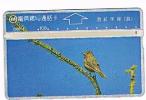 TAIWAN - CHUNGHWA TELECOM (L&G) - 1996  D6016 UCCELLI (BIRDS)     (CODE 684C)  - USED °  -  RIF. 4761 - Uccelli Canterini Ed Arboricoli