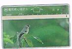 TAIWAN - CHUNGHWA TELECOM (L&G) - 1996  D6020 UCCELLI (BIRDS)     (CODE 606E)  - USED °  -  RIF. 4765 - Songbirds & Tree Dwellers