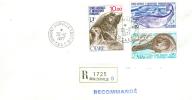 TAAF ENV DUMONT D´URVILLE   20/12/1977  RECOMMANDE TIMBRE OTARIE - Storia Postale