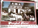 GEMANY CAVALLO HORSE CARROZZA LUFTKURORT  PONYHOF MEIER VB1991  DI10773 - Taxi & Fiacre