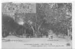 84 // BOLLENE   Avenue De La Palud,   Avenue Carnot   ANIMEE - Bollene