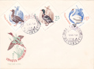 Birds Of The Delta Rate 1 Cover FDC Premier Jour 1965 Romania. - Cisnes