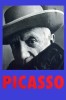 [Y54-096   ] Pablo Picasso And His Painting ,  China Postal Stationery -Articles Postaux -- Postsache F - Picasso